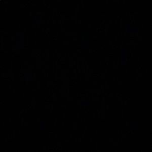 Meet your Posher, Alma